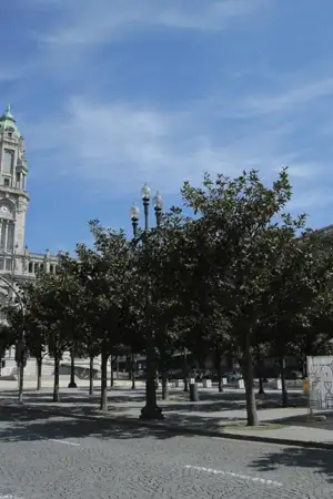 Três anos depois, o Porto regressa à Associação Nacional de Municípios