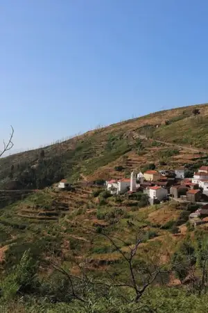 Precisamos de “uma política fiscal agressiva para atrair jovens para o interior”