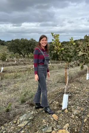 O projeto que reinventou a cultura do pistácio em Portugal