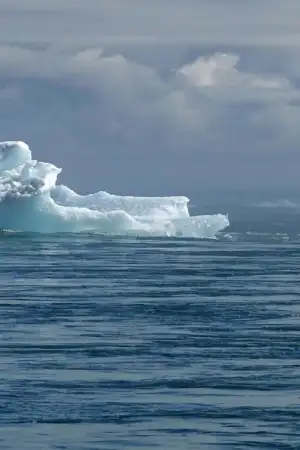 Oceanos estão a sofrer transformações globais sem precedentes