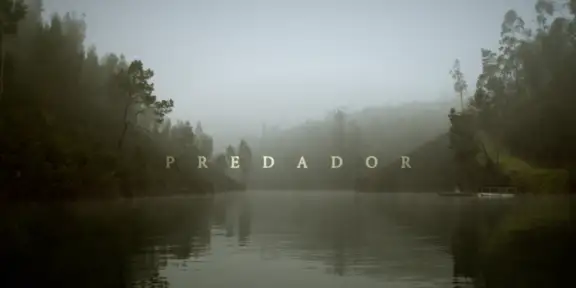 Predador