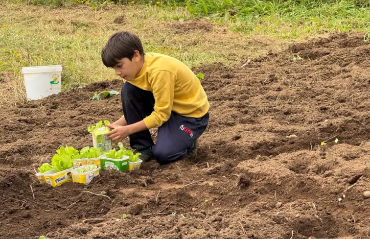 Duarte Sanches a cultivar plantas na sua horta
