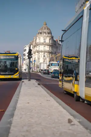 Autarcas de Coimbra defendem criação de uma Região Metropolitana