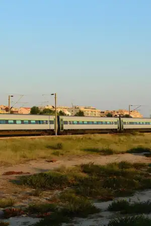 Governo avisa que alterações ao TGV em Gaia não são "decisões unilaterais" do consórcio