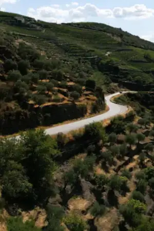 Troço da EN222 em São João da Pesqueira terá trânsito alternado durante obras