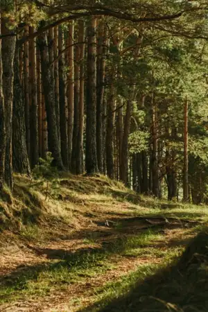 Transição Verde reforçada com 36,5 milhões de euros